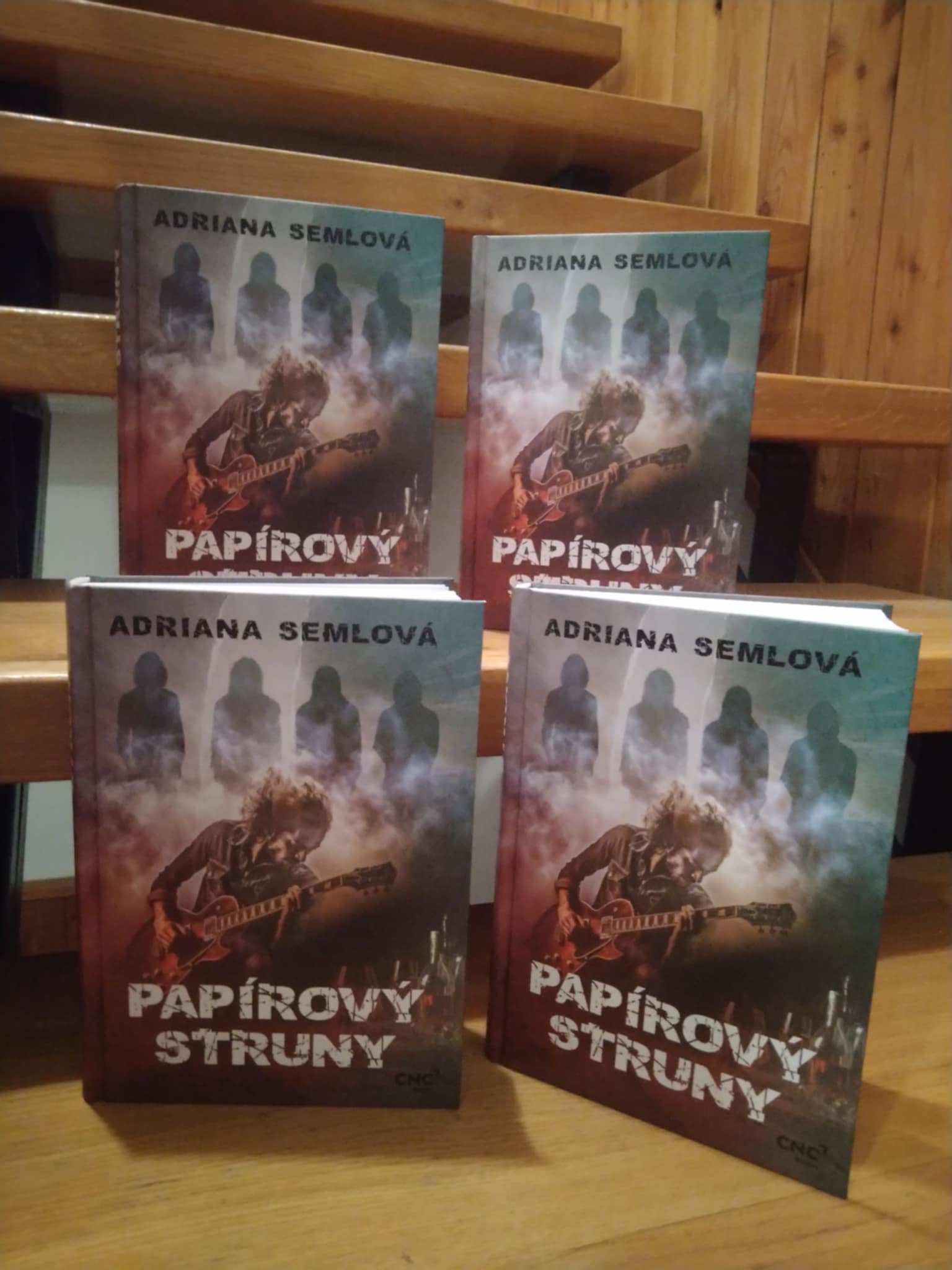 Příspěvek